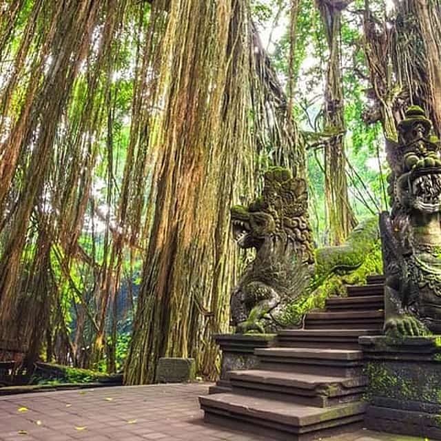Ubud Holy Spring Temple Blissful Cleansing