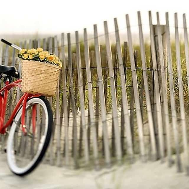 Lido Bike Tour: From Sandy Beaches to Film History