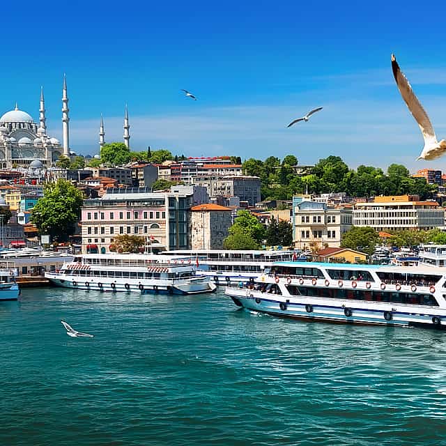 Bosphorus Cruise and Beylerbeyi Palace Tour