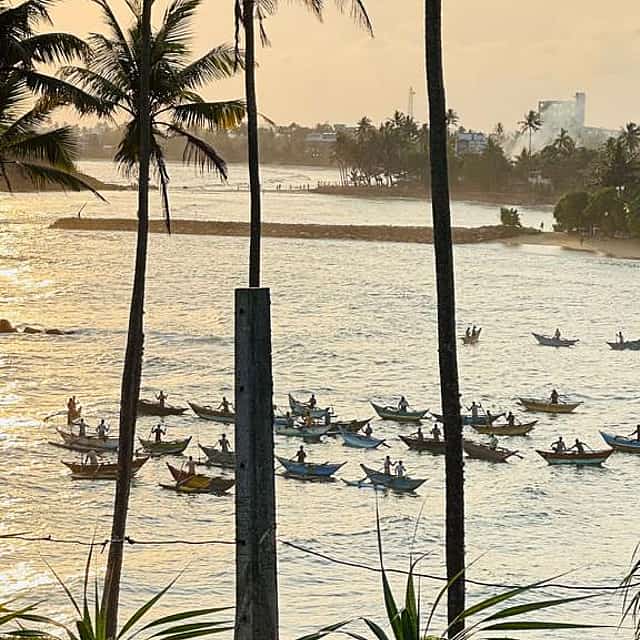 One Day Tour to Galle and Mirissa from Colombo