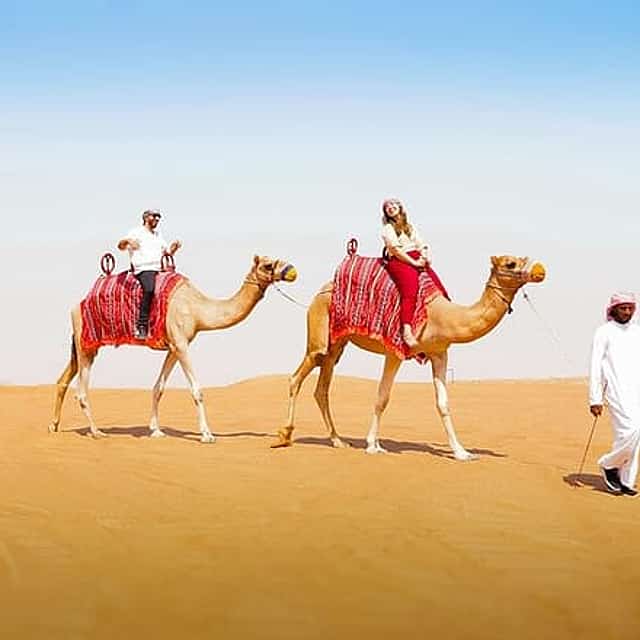 Dubai: Desert Camel Ride with Live Shows & BBQ Buffet Dinner