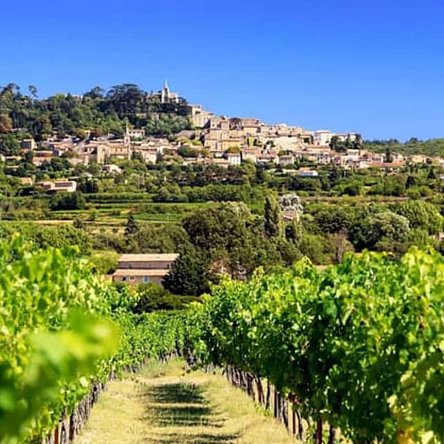 Antibes Shore Excursion: Private Provence Wine Experience