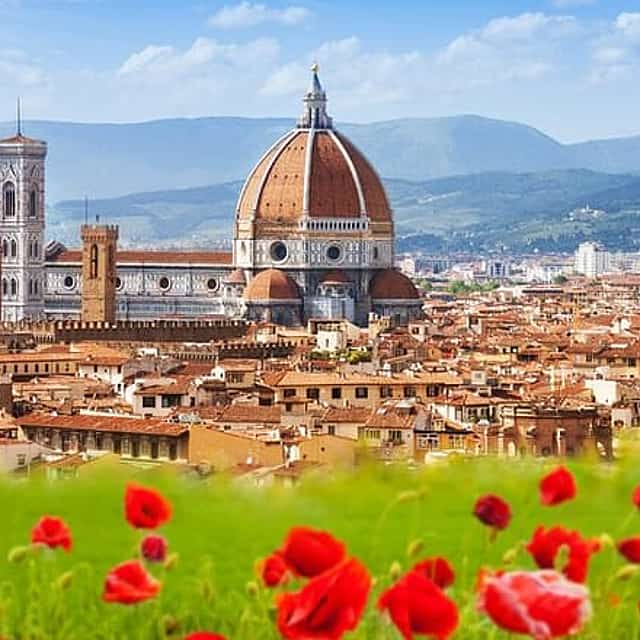 Private Chianti Wine Tasting & Scenic Florence Drive – Half-Day Tour from Florence