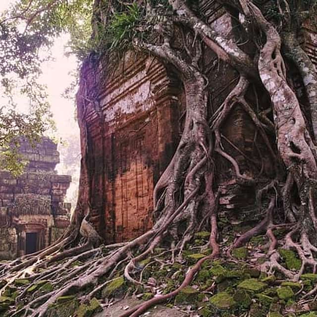 Private 2-Day Tour: Koh Ker, Preah Vihear & Khmer Rouge Sites