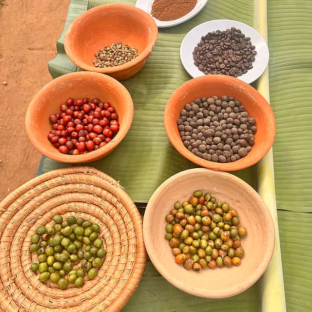Entdecken Sie Ugandas Kultur im Ewaffe Cultural Center Entebbe
