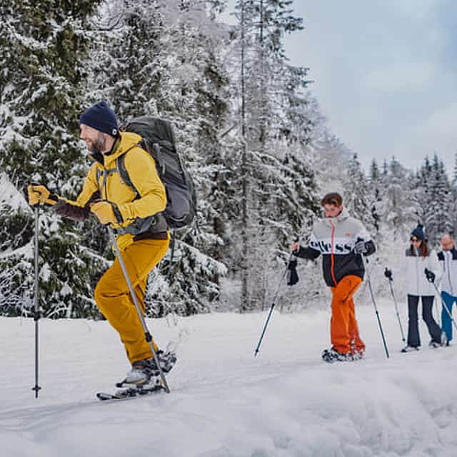 Snowshoe Tour in Winter Wonderland