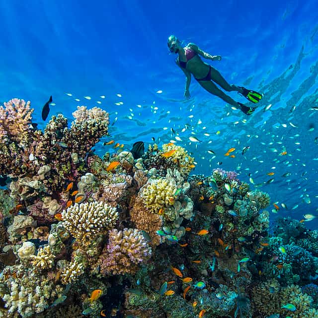 Prywatna wycieczka snorkelingowa w Dahab

