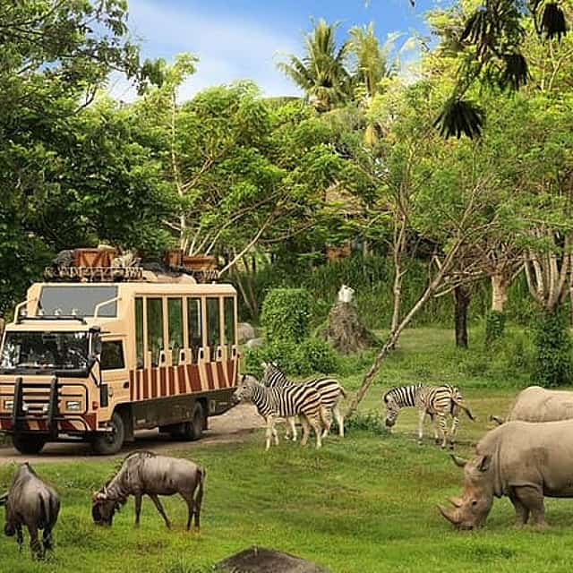 Phu Quoc: VinWonders & Safari Tickets with Private Transfer