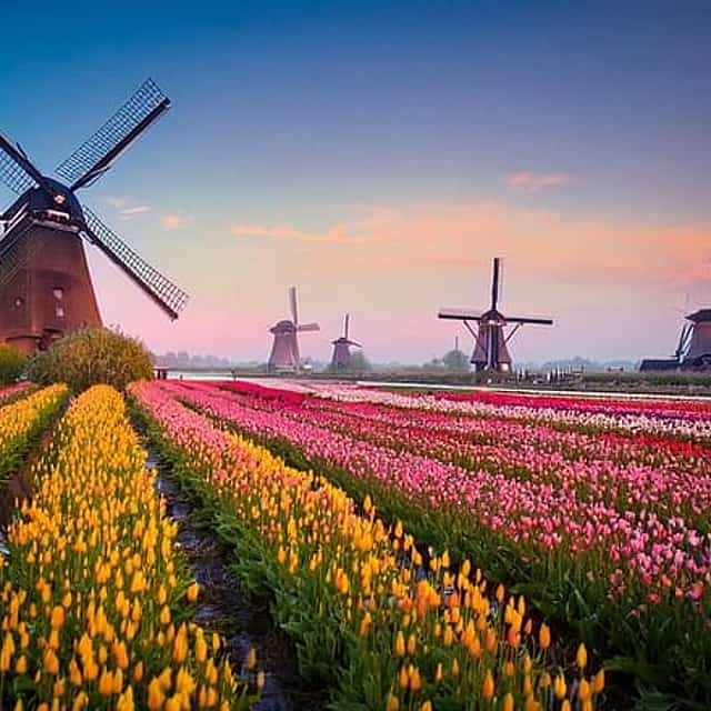 Direct private transfer from Amsterdam to Kinderdijk