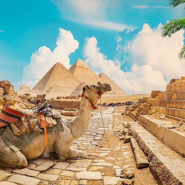 جولة خاصة ليوم كامل إلى أهرامات الجيزة وسقارة ومنف مع الغداء
