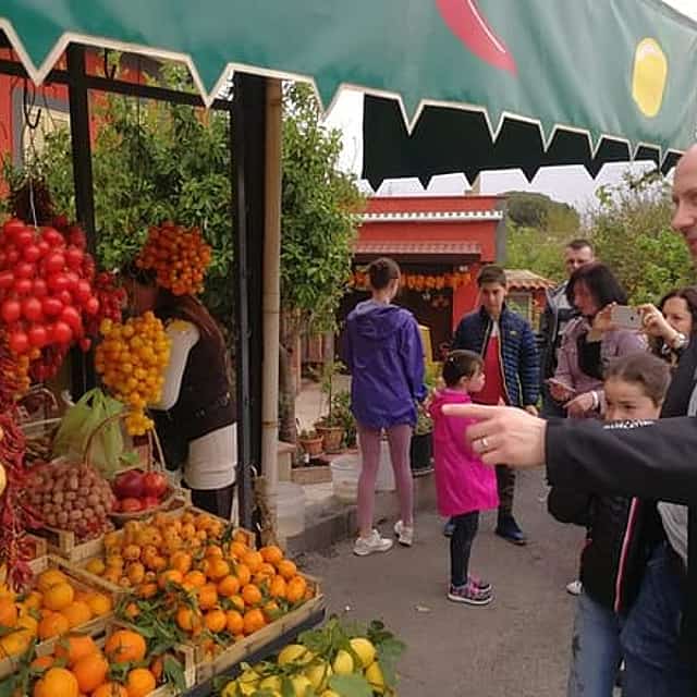 Group excursion for wine & food tasting Cantine del Vesuvio. (4 hours)