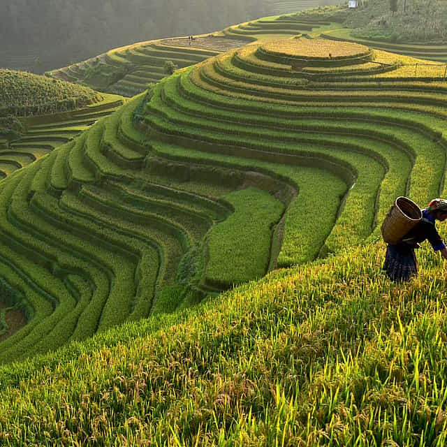 Full-day Bali Private Trip by Car