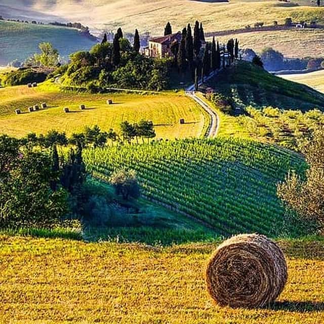 Val d’Orcia Weintour mit Mittagessen & Brunello ab Florenz