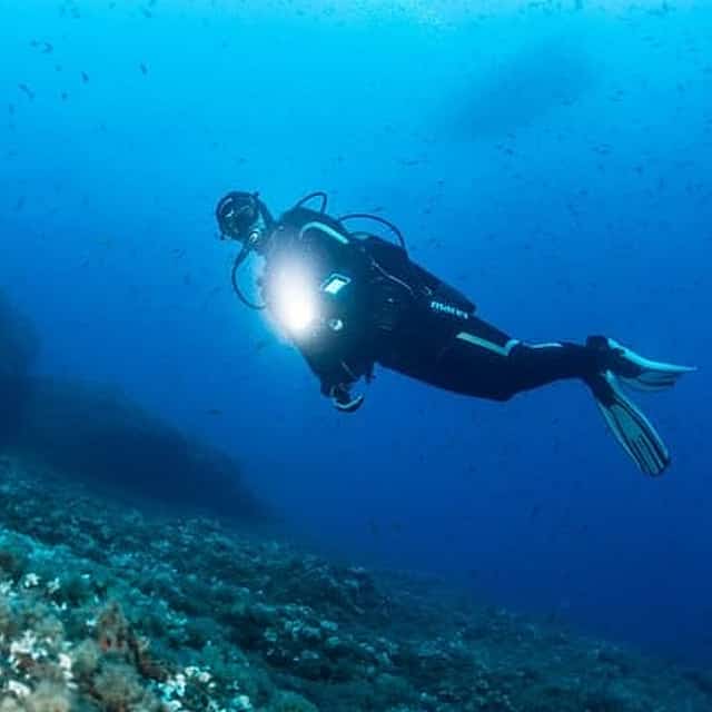 Scuba Diving at night in Mirissa