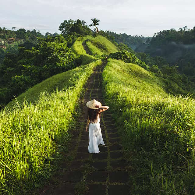 Best of Ubud: Nature, Temple, Waterfall and Rice Terrace
