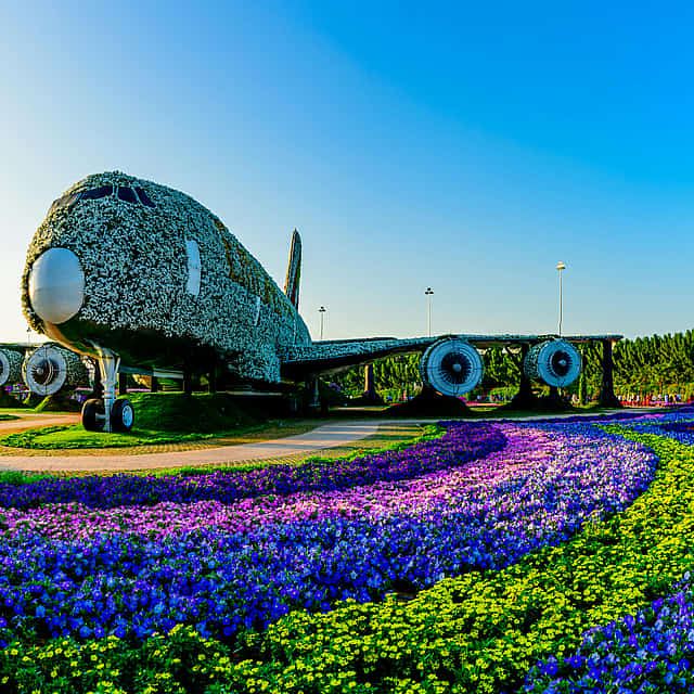 Miracle Garden: rondleiding