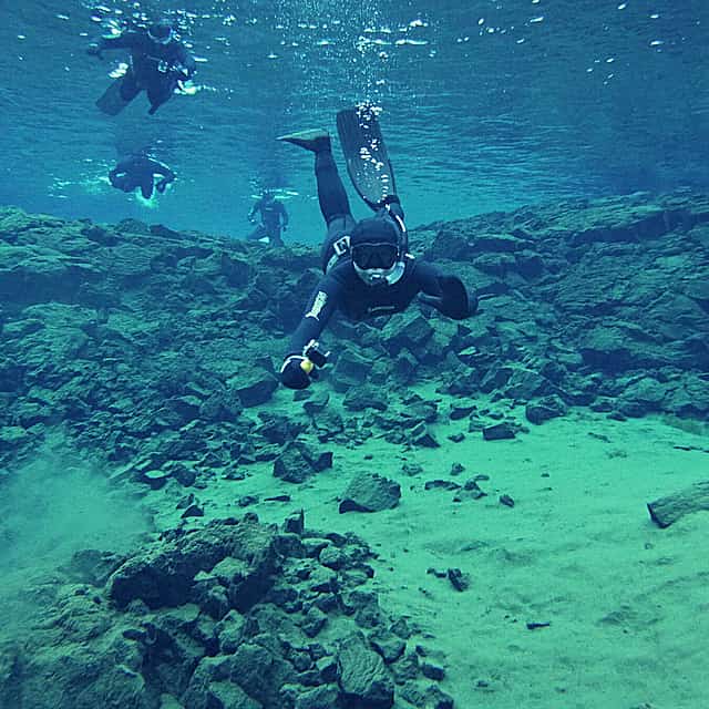 Freedive Foodhunt Tour