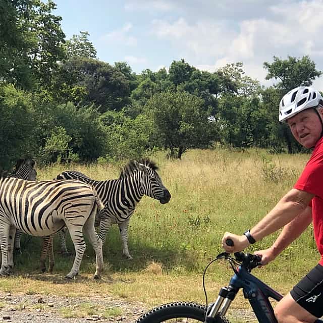 Half Day E-Biking with Wildlife Watching in Pretoria