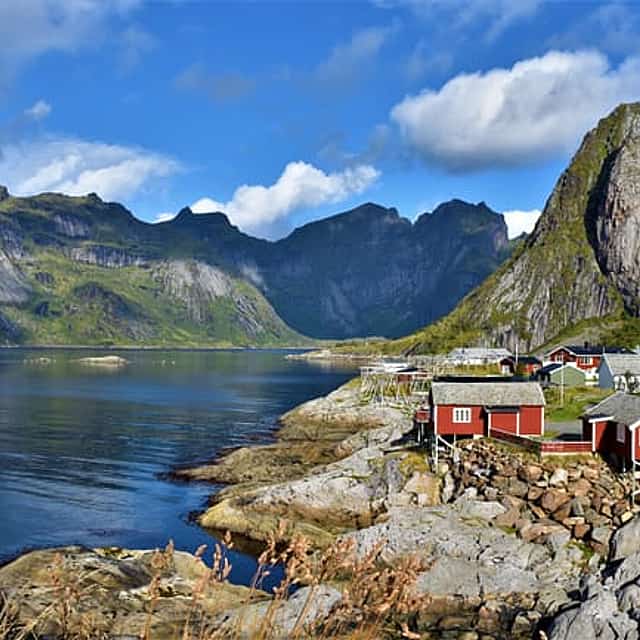 Special Summer Cruise Bus Tour of Lofoten