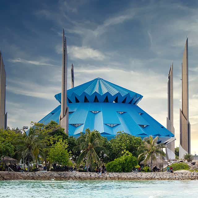 Male City Walking Tour