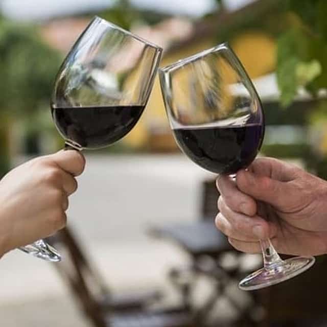 Cata de Vinos - Tour Privado de Medio Día