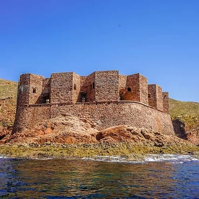 Berlengas Island Private Day Trip from Lisbon 