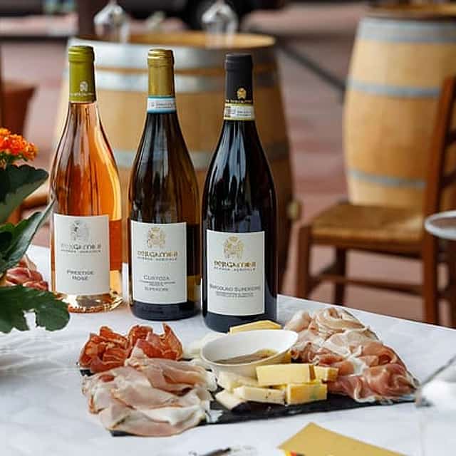 Winery Tour and Tasting of Garda Wines