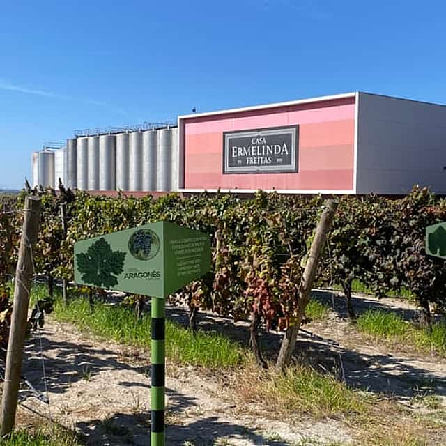 PARCEIROS - Tour de Degustação de Vinhos na Região Sul Privada de Lisboa (Fernão Pó)