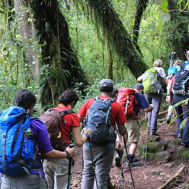Kilimanjaro Day Hike