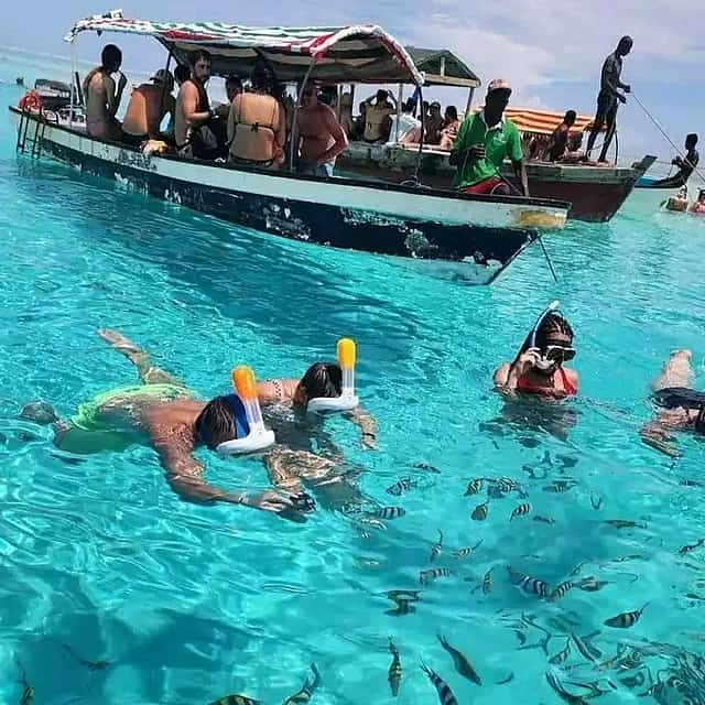 "Ganztägige Wasini Island Tour: Delfinbeobachtung und Schnorcheln."
