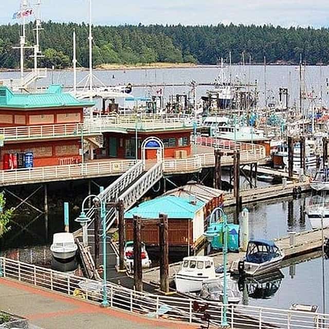 Vancouver to Nanaimo, Ucluelet, Tofino 2 Days Harbour City Tour Private