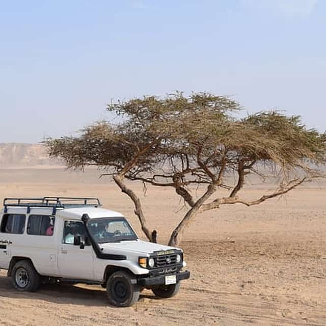 4x4 Safari: Marsa Alam Desert Adventure