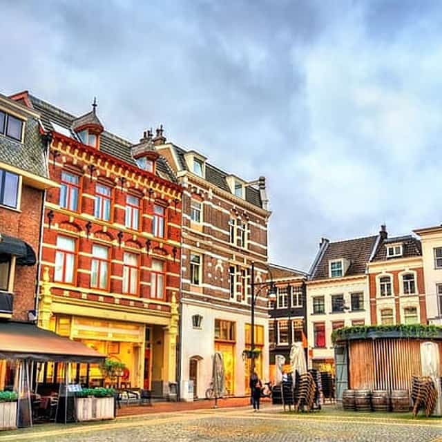 Privétransfer: Amsterdam naar Arnhem, 2 uur stop in Apenheul Park
