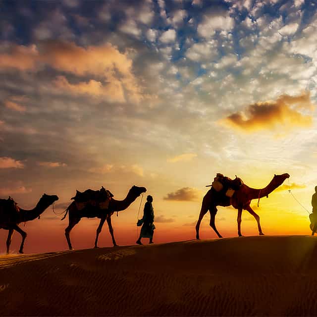 Desert Safari Dubai without Dune Bashing + Quad Bike Ride