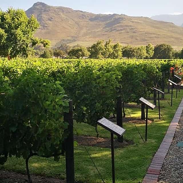 Private Cape Winelands Ful Day Ultra Flexible Guided Tour.