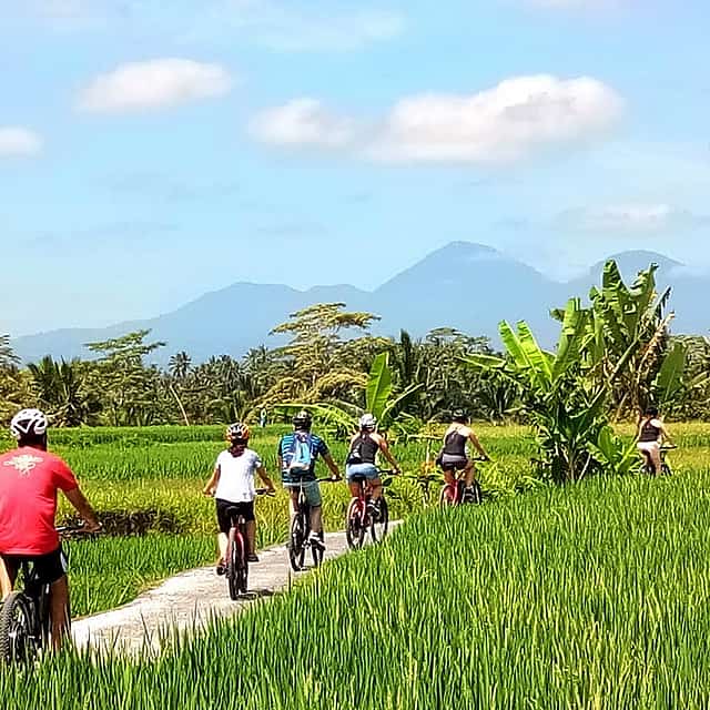 E-bike Ubud to Tegalalang Trip