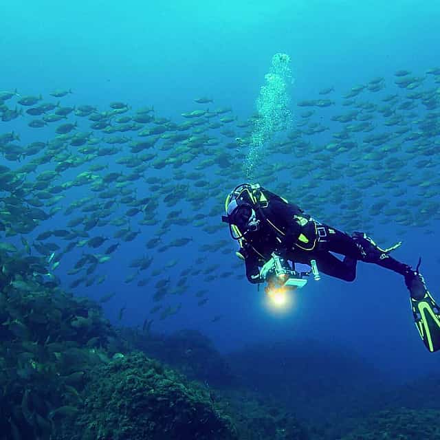 Become a Certified Open Water Diver from Azores - Terceira island  - Your Underwater Adventure Starts Here!