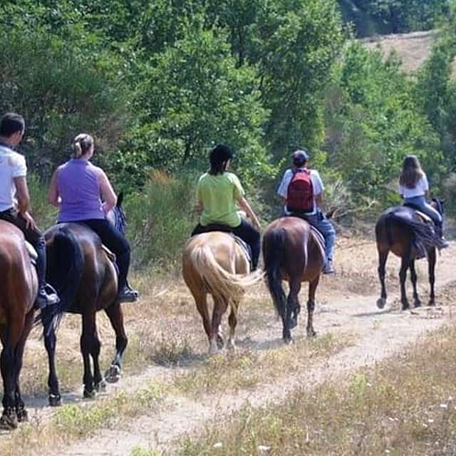 Toskánské kopce – projížďka na koni ze Sieny