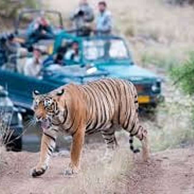 7-Day Delhi, Agra, Jaipur & Ranthambore Tour