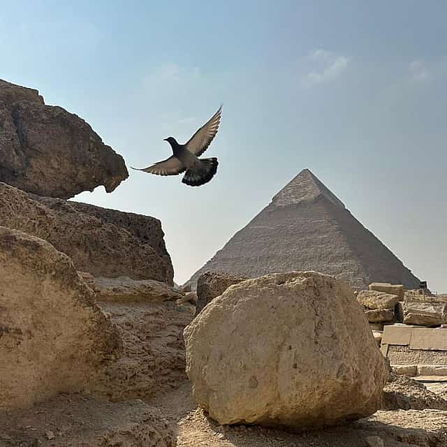 Fahrt zu den Pyramiden und zum Museum von Kairo