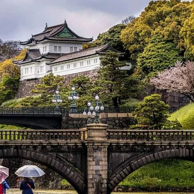 Visita turística individualizada por Tokio con asistente en transporte público.
