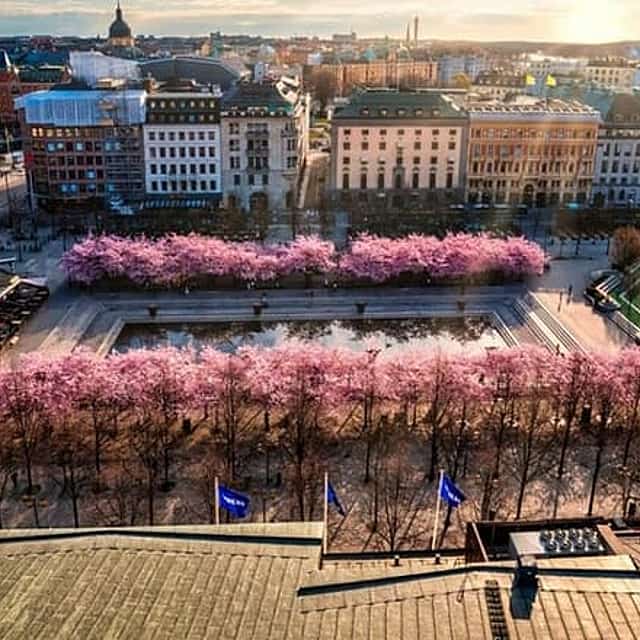Stockholm: Geführte Fahrradtour