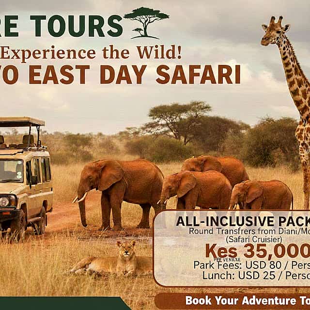 "1-Tages-Safari in den Tsavo-Nationalpark von Diani aus"