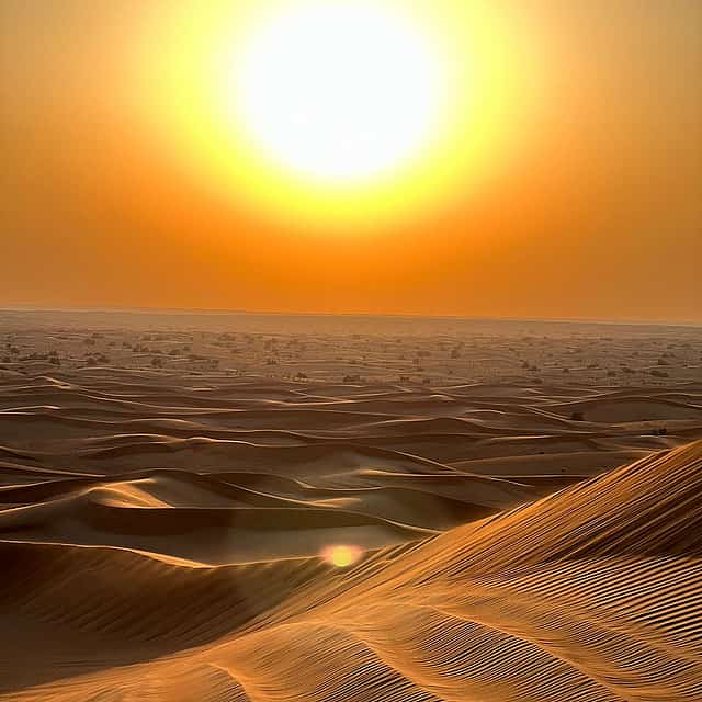 Individuelle Safari am frühen Morgen ab Dubai, Sharjah und Ajman
