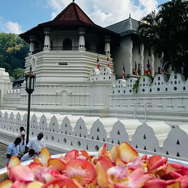 One Day Tour in Kandy