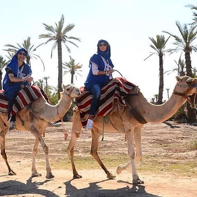 Marrakech Desert Camel Ride
