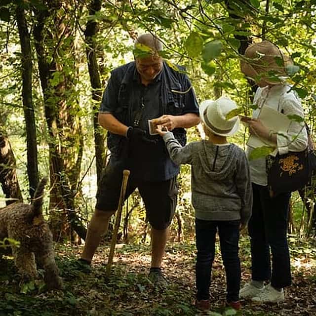 Exclusive Private Truffle Hunt Experience with Lunch & Wine Tasting from Florence