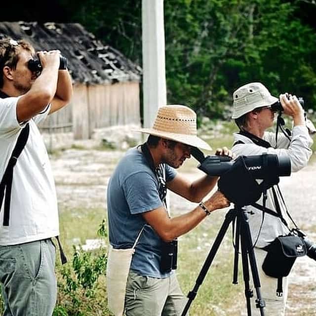 Private Birdwatching Tour in Sian Ka'an Muyil