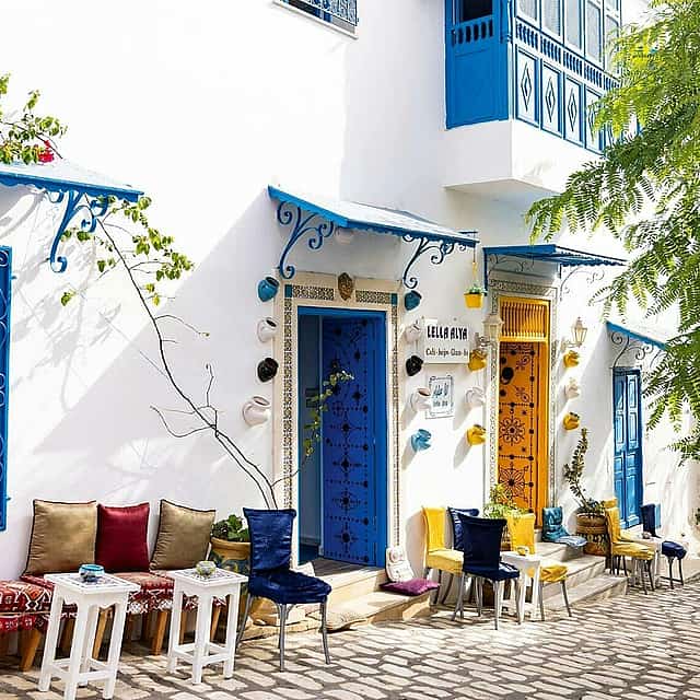Całodniowa wycieczka z Hammametu: Tunis, Kartagina i Sidi Bou Said