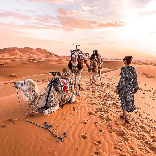 Aventura Épica en Ksar Ghilane: 2 Días & 1 Noche de Ensueño.
